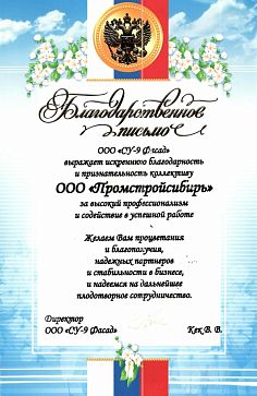 СУ-9 Фасад